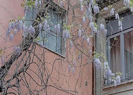 Porta Genova Apartment | PrimoPiano - Ariberto