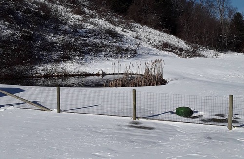 Aurora Cabin | Private Cabin On 40+ Acres. Pets Allowed