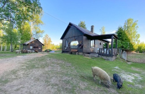 Pedvale Cabin | Private Farm Jakuzzi Sauna in the forest