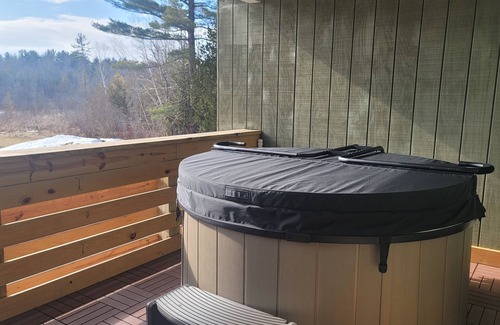 Interlochen Boat Rental | Private Hot Tub, King Size Bed Crystal Mountain 17 miles, Traverse City Sleeps 4