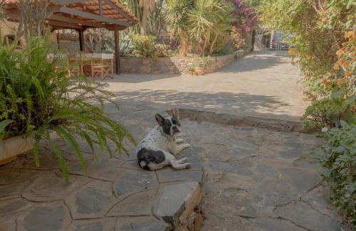Agios Nikolaos Town House | Private Pet Friendly Villa