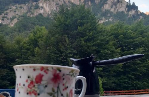Montenegro Cabin | Prokletije Vucetic sobe