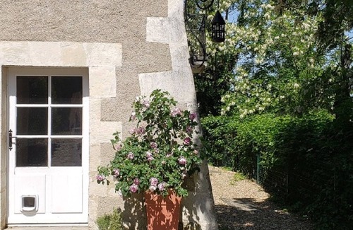 Buxeuil House | Propriété Avec Piscine, Proche des Châteaux de la Loire et du de Futuroscope