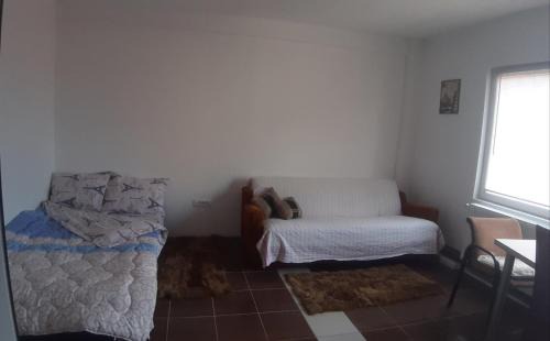 Cacak Apartment | Prostrani apartman Cacak