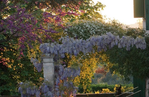 Tarascon House | Provencal farmhouse in the countryside