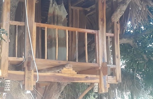 Pu Long Nature Reserve Cabin | Pu luong Discovery Tree Bungalow