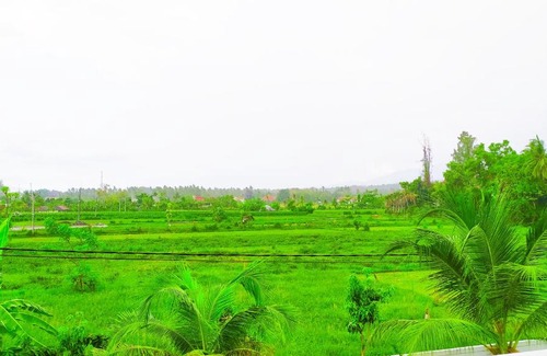 Lovina Hotel | Puri Lovina
