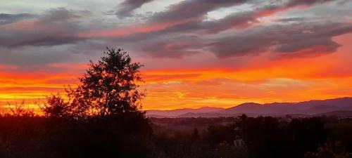 Saint-Gaudens Apartment | Pyrenees Vue Gite - Le Plus de Commentaires Positifs - Vues Fantastique, Calme, Jardin, Parking Sur Place