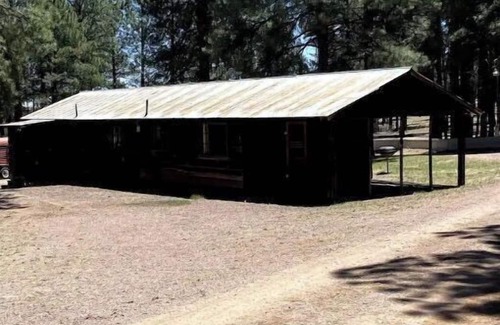 Alpine Cabin | Quaint Country Cabin in the tall pines AlpineAZ #2