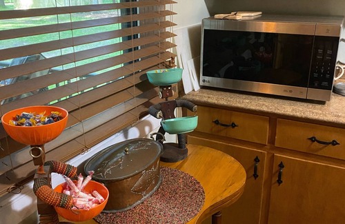 Newaygo House | Quaint quiet cottage on the Muskegon River, Newaygo!