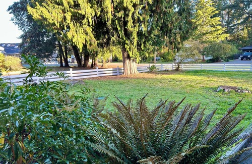 Regional District of Nanaimo House | Qualicum Beach 3 month winter rental with two friendly cats at reduced rate