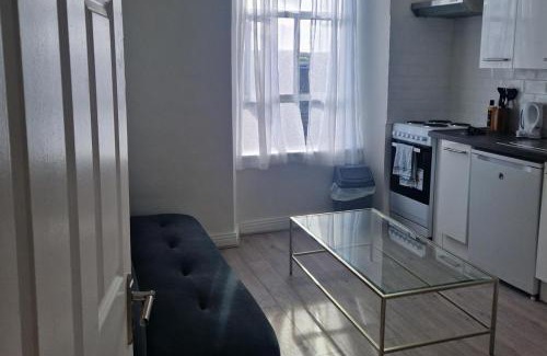 Cork Apartment | Quiet 1Br Retreat- Fast Internet- Walk-In Shower