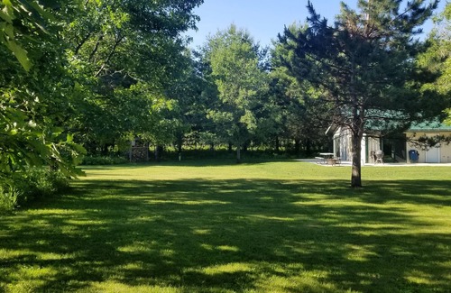 Longville Cabin | Quiet 3 Acres On DNR Fishing Lake With 200' Of Shoreline Just Outside Longville