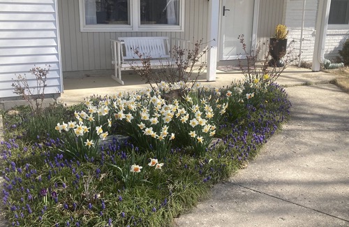 Saint Marys  Allen County House | Quiet and comfy home is one of Fort Wayne's most sought after areas of the city