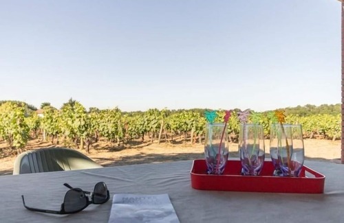 Le Landreau Cottage | Quiet cottage on vineyard, fireplace, wifi, baby equipment, near Nantes