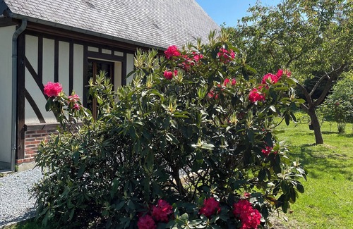Triqueville House | Quiet country house with hiking trails. Dogs welcome.