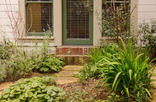 Inner Sunset Apartment | Quiet Garden Studio Near Golden Gate Park