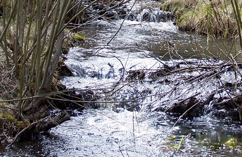 Allenspark Cabin | Quiet, pet-friendly, on Horse Creek and Minutes from Estes Park and RMNP!
