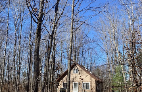 Elmira Cabin | Quiet Romantic Cabin - Pet Friendly