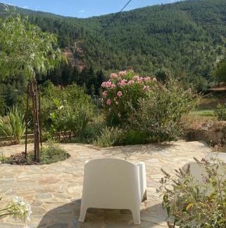 Seia Apartment | Quinta do Brejo