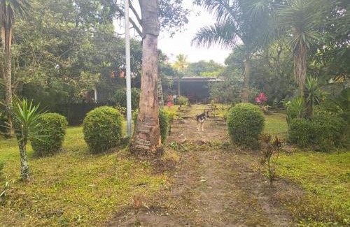 Zaragoza Villa | Quinta Kartagus