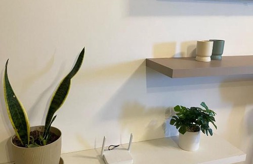 San Juan Apartment | Quintana III