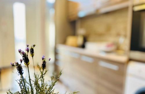 Nepszinhaz negyed Apartment | Rákóczi Boulevard 47