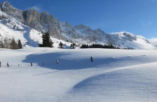 Villard-de-Lans Apartment | Résidence Croix Margot