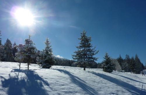 Villard-de-Lans Apartment | Résidence Croix Margot