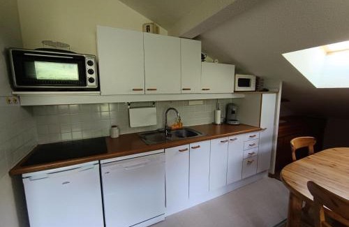 Montgenevre Apartment | Résidence Ferme D'augustin - Batiment E - Grand appartement 8 personnes sur les pistes MAE-8274