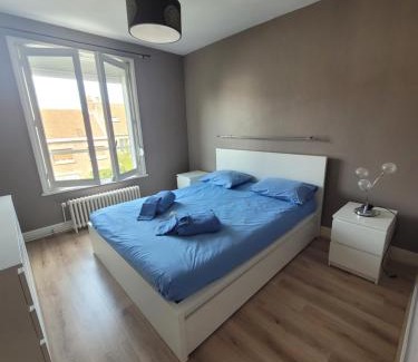 Malo-les-Bains Apartment | Résidence Malouine "les roses de Malo les bains" Appartement avec balcon