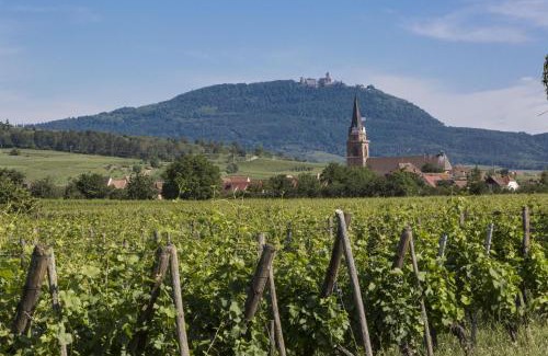 Bergheim Apartment | Résidence Odalys Le Domaine des Rois
