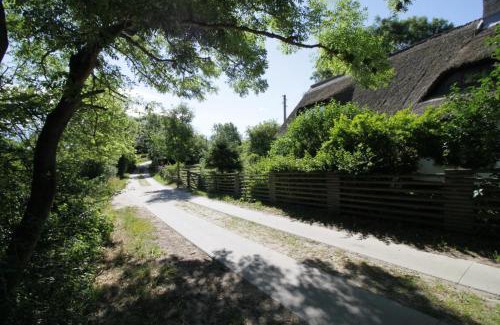 Lohme Apartment | Rügen FeWo-Lohme auf Jasmund