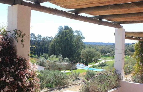 Barrancosas House | Rabbit House