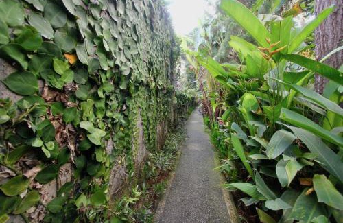 Ubud City-Centre House | Rahayu House Ubud