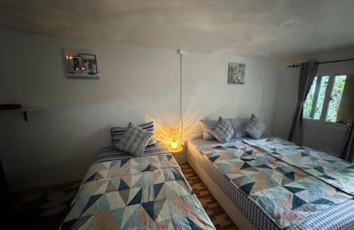 Ko Pha-ngan Hotel | Rainbow garden view resort