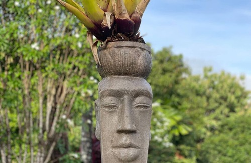 Mission Beach Apartment | Rainforest King Rooms | Shared Kitchen + Lounge | Sleeps 2–8