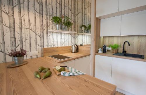 Warszawskie Apartment | Rakowicka Apartment