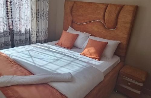 Hospital Apartment | Ram appointment
