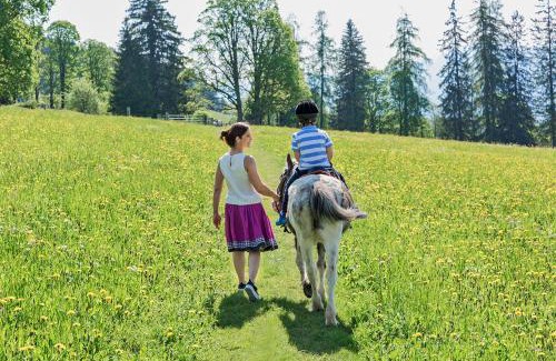 Ramsau am Dachstein House | Ramsbergerhof