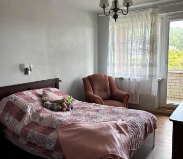 Kaunas Apartment | Ramybės kotedžas