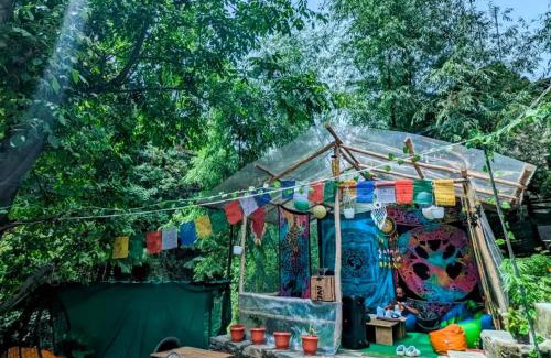 Jibhi House | Rana home stay