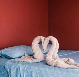 Pacuare Reserve Hotel | Rancho Los Gavilanes