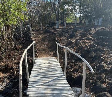 Pacuare Reserve Hotel | Rancho Los Gavilanes