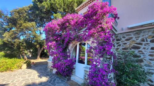 Le Rayol Apartment | Rayol vue mer jardin plage à pied - St-Tropez 25km