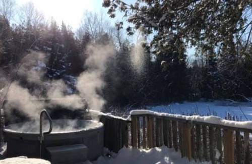 Youngs Point Cottage | Realaxing Cat Tails Retreat at the Lake Edge Cottages!