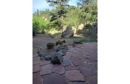 Colorado Springs Cabin | Red Door Cabin