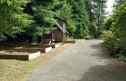Arcata House | Redwood house (1 block from HSU)