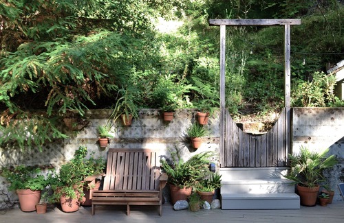 Monte Rio Cottage | Redwood Retreat: Charming Alpine Cottage