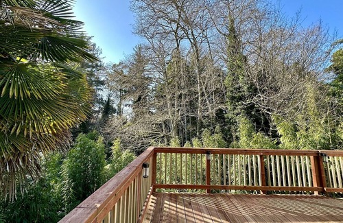 Crescent City Cottage | Redwood Trails & Ocean Access 5 Mins Away